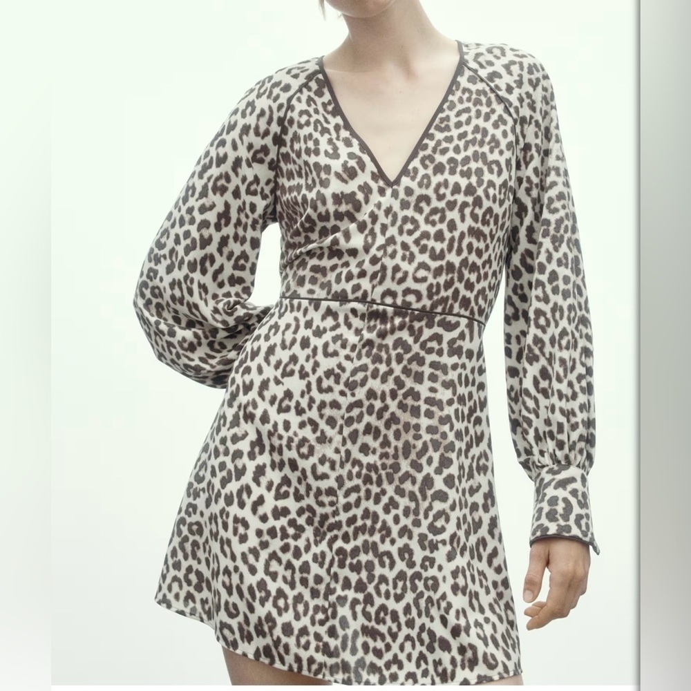 H&M Animal Print dress V neck , Flared,and long sleeve Medium